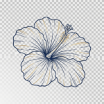 Parfum Hibiscus